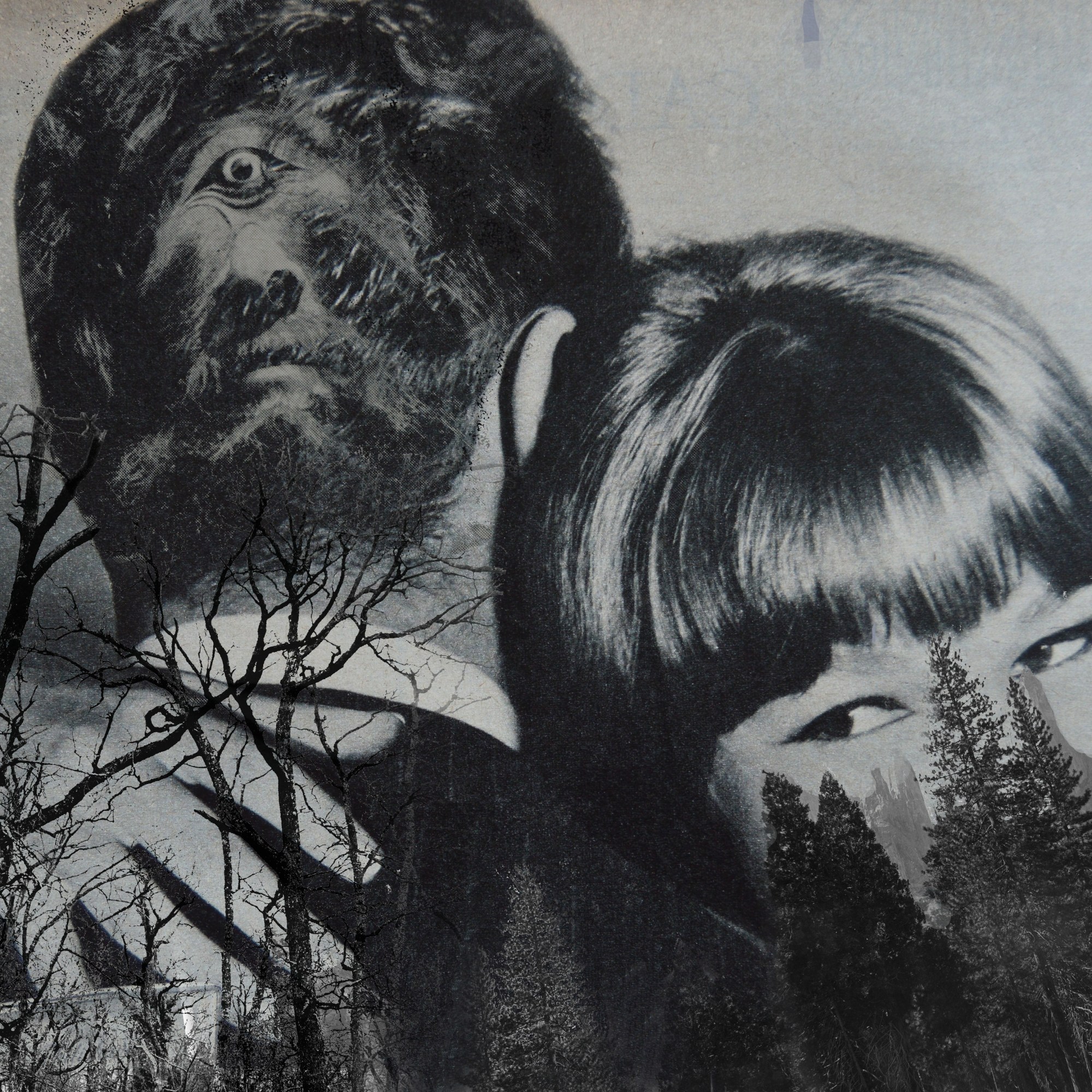 collage forêt couple