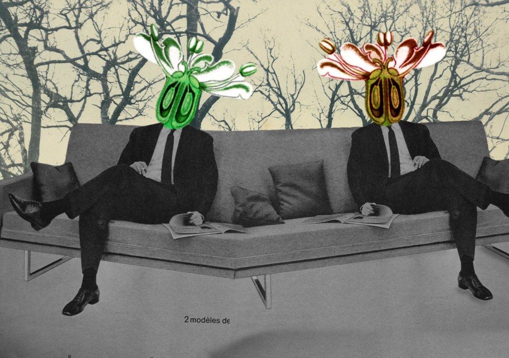 collage hommes plantes