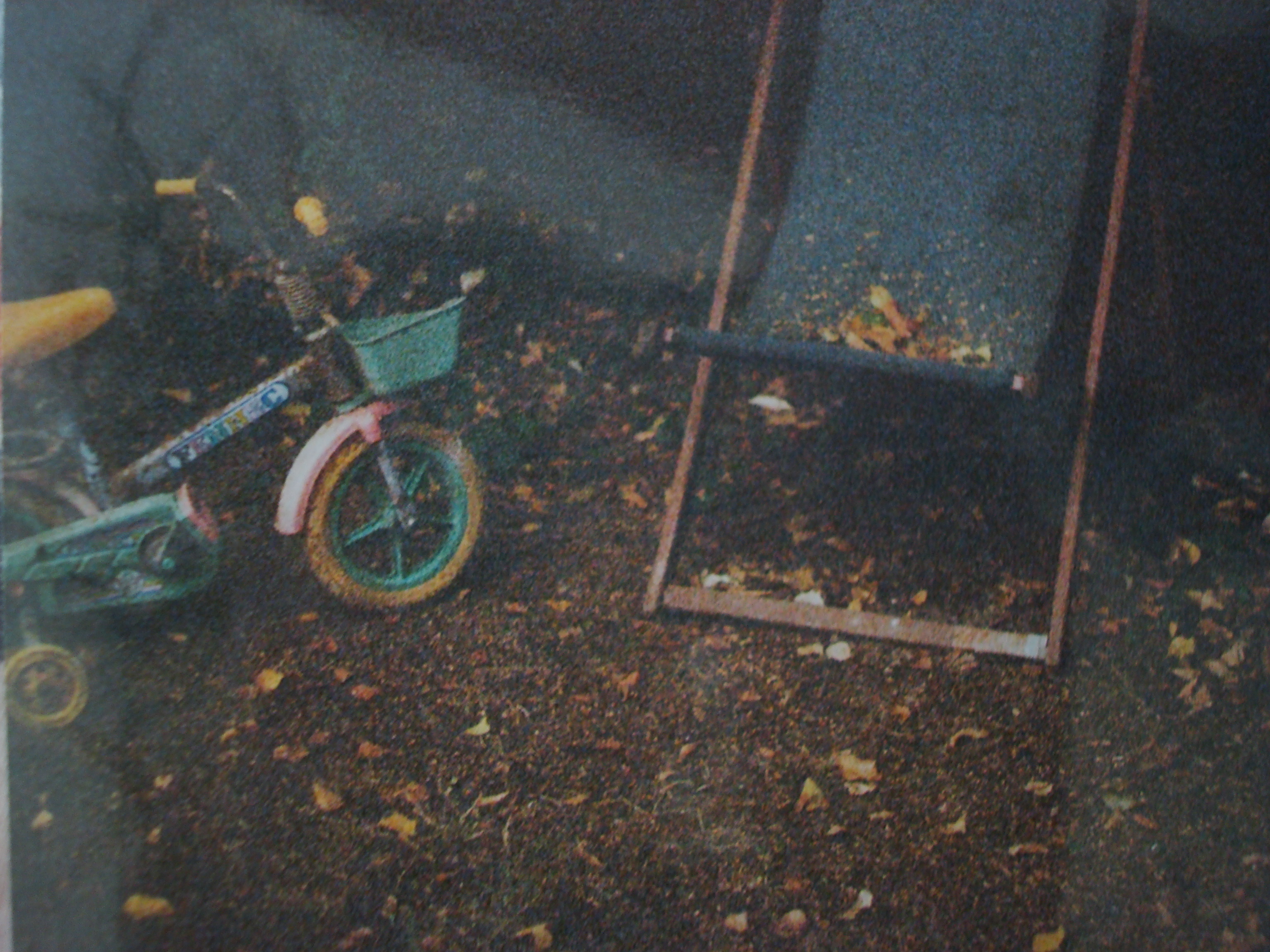 photographie argentique