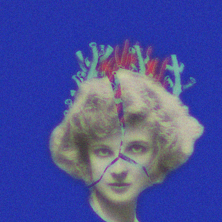 clip collage corail animation