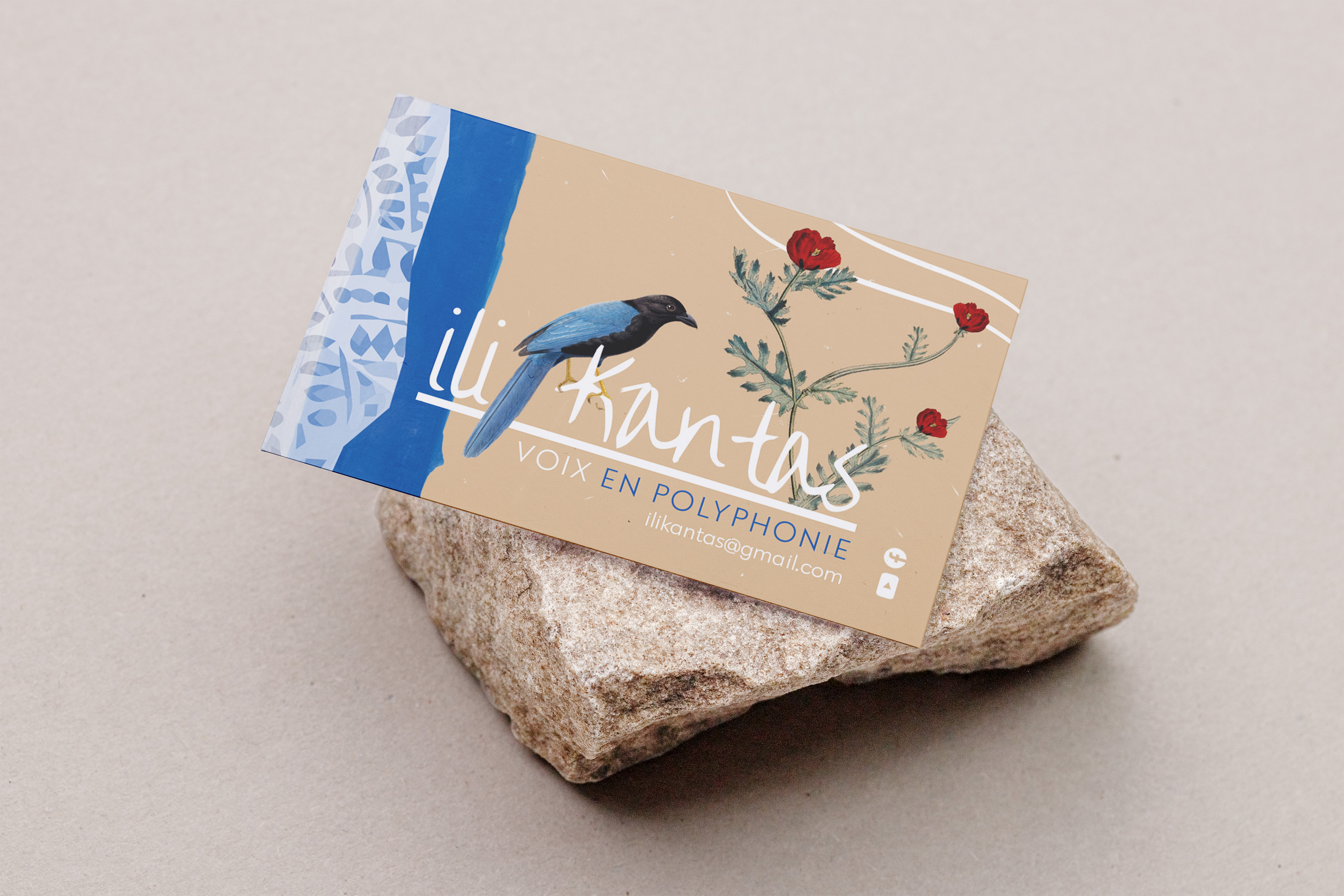 carte de visite ili kantas