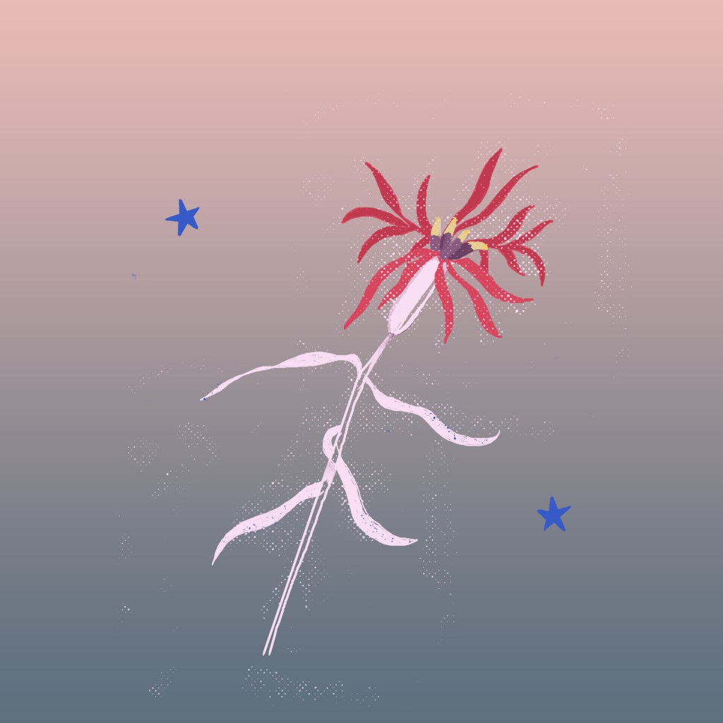 illustration fleur